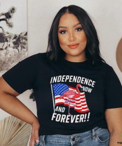 Independence Now And Forever Flamingo 4Th Of July Shirt
