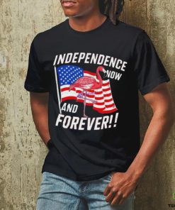 Independence Now And Forever Flamingo 4Th Of July Shirt