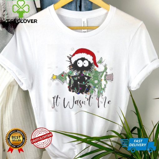 It Wasnt Me Cat Merry Christmas Funny Christmas Cat Shirt