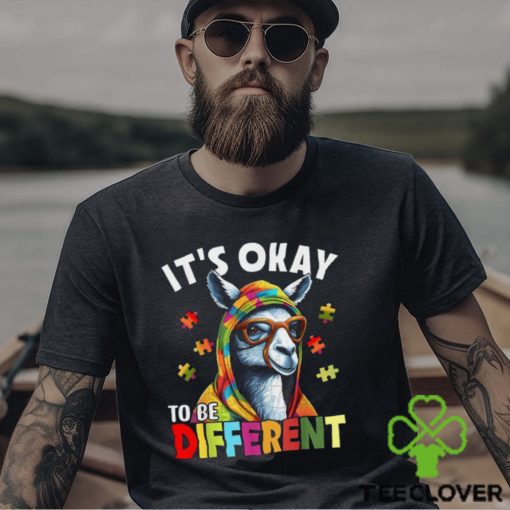 It’s Okay To Be Different Shirt