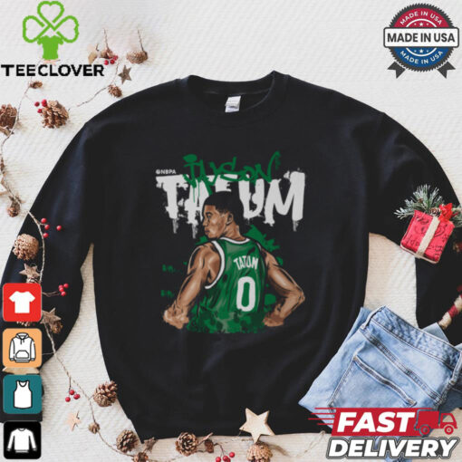 Jayson Tatum Pose hoodie, sweater, longsleeve, shirt v-neck, t-shirt