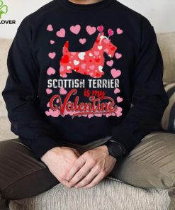 Joe Biden Happy Valentine’s Day Funny Valentine’s Day Shirt