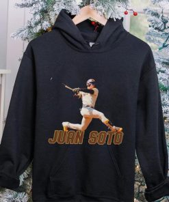 Juan Soto New York Yankees fight hoodie, sweater, longsleeve, shirt v-neck, t-shirt