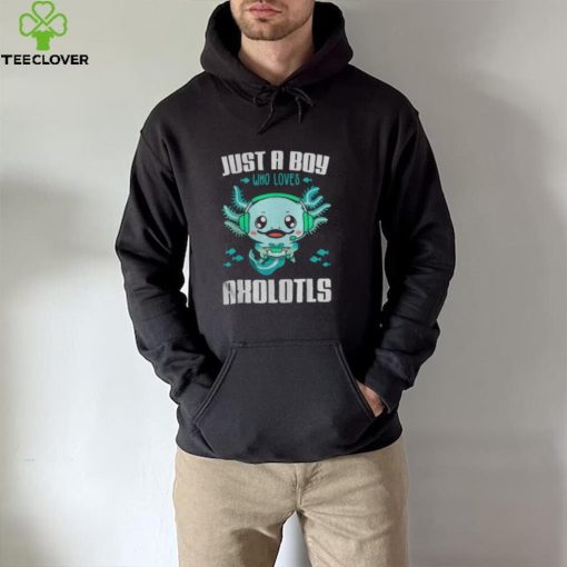 Just A Boy Who Loves Axolotls hoodie, sweater, longsleeve, shirt v-neck, t-shirt