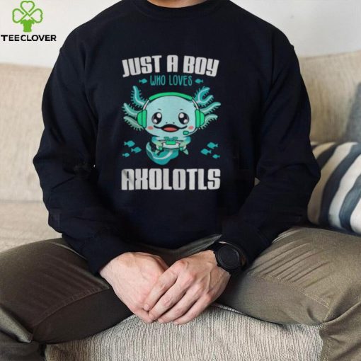 Just A Boy Who Loves Axolotls hoodie, sweater, longsleeve, shirt v-neck, t-shirt