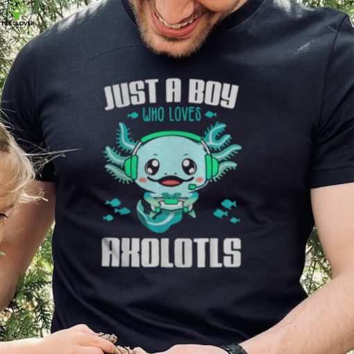 Just A Boy Who Loves Axolotls hoodie, sweater, longsleeve, shirt v-neck, t-shirt