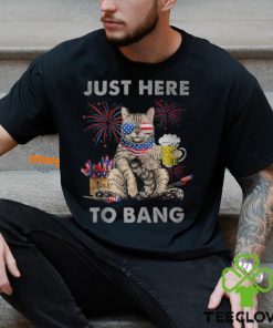 Just Here To Bang Cat 4Th Of July Merica Meowica T Shirt