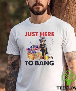 Just here to bang USA flag hoodie, sweater, longsleeve, shirt v-neck, t-shirt