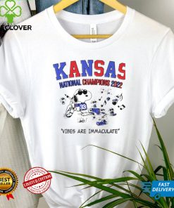 Kansas National Champions 2022 vibes are immaculate hoodie, sweater, longsleeve, shirt v-neck, t-shirt