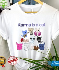 Karma Cat Eras Tour Merchandise Gift For Swifites T Shirt
