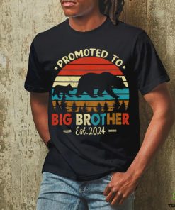 Kids Promoted to Big Brother Est 2024 Pregnancy Announcement T Shirt
