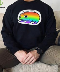 LGBT Frog my Tummy hurts art hoodie, sweater, longsleeve, shirt v-neck, t-shirt