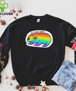 LGBT Frog my Tummy hurts art hoodie, sweater, longsleeve, shirt v-neck, t-shirt