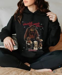 Labyrinth Should You Need Us Brand A Transparen T shirt