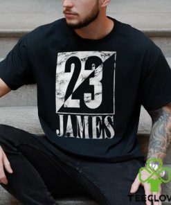 LeBron James Los Angeles Lakers Fanatics Branded Ying & Yang Name & Number Long Sleeve Shirt