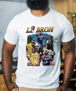 Lebron James Los Angeles Lakers basketball graphic hoodie, sweater, longsleeve, shirt v-neck, t-shirt