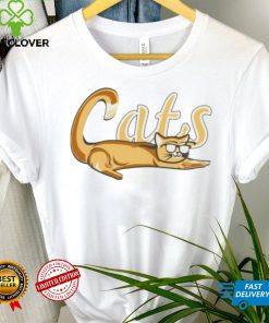 Lehigh valley ironpigs cats shirt