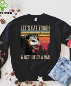 Let's Eat Trash and Get Hit By A Car Gifts Vintage Opossum Raglan Baseball Tee