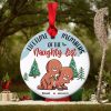 Denver Nuggets 2023 NBA Champions Logo Custom Name Holiday Christmas Tree Decorations Ornament