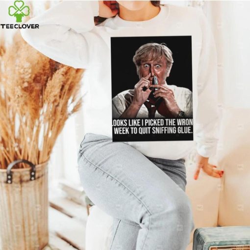 Looks like I picked the wrong week to quit sniffing glue photo hoodie, sweater, longsleeve, shirt v-neck, t-shirt