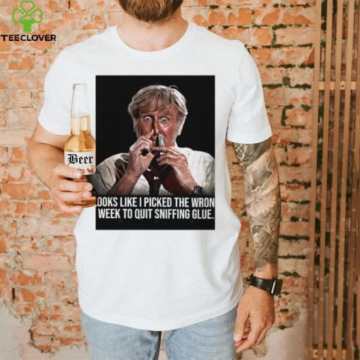 Looks like I picked the wrong week to quit sniffing glue photo hoodie, sweater, longsleeve, shirt v-neck, t-shirt
