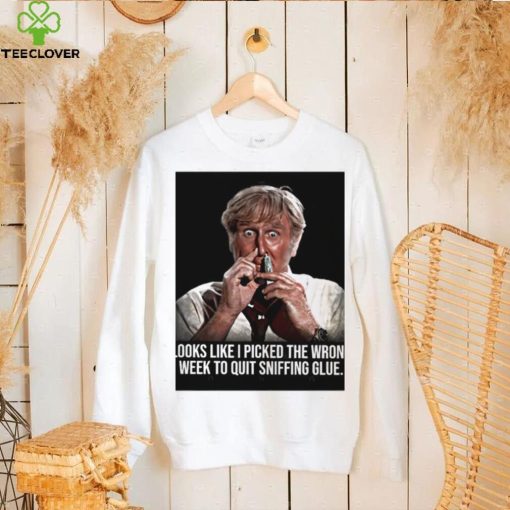 Looks like I picked the wrong week to quit sniffing glue photo hoodie, sweater, longsleeve, shirt v-neck, t-shirt