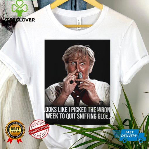 Looks like I picked the wrong week to quit sniffing glue photo hoodie, sweater, longsleeve, shirt v-neck, t-shirt