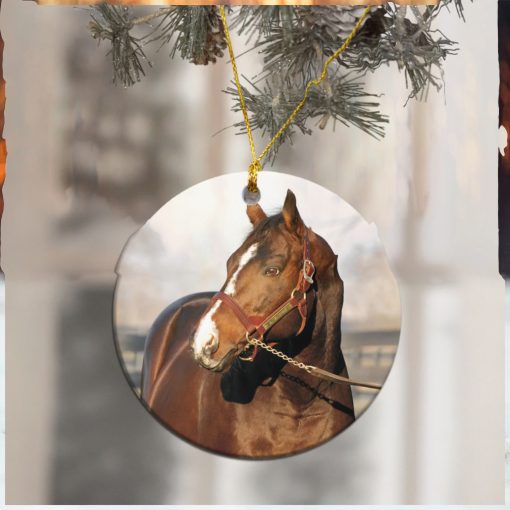 Love Horse Round Mica Ornament 3