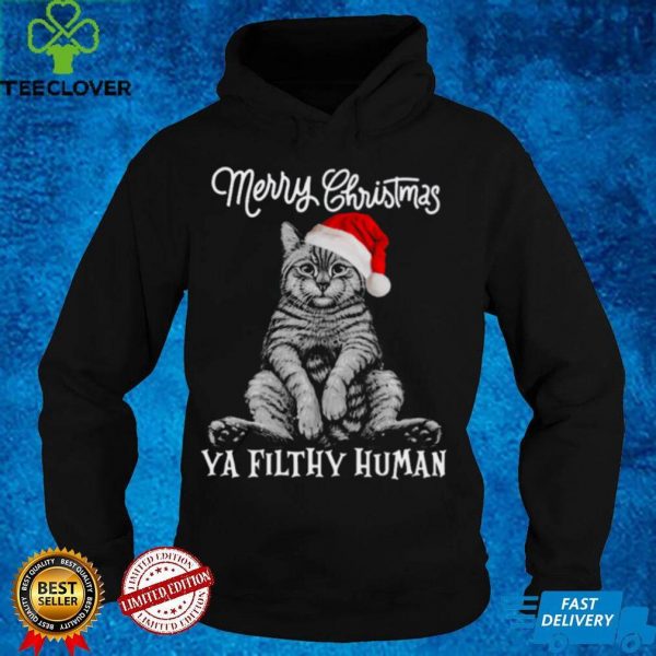 Merry christmas ya filthy human cat santa hoodie, sweater, longsleeve, shirt v-neck, t-shirt