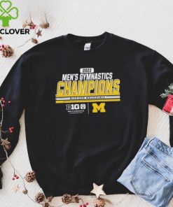 Michigan Wolverines 2023 Big Ten Men’s Gymnastics Tournament Champions T hoodie, sweater, longsleeve, shirt v-neck, t-shirt
