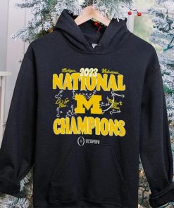 Michigan Wolverines 2023 national champions let’s go blue Maige and blue hoodie, sweater, longsleeve, shirt v-neck, t-shirt