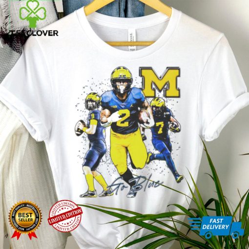 Michigan Wolverines football go blue 2024 hoodie, sweater, longsleeve, shirt v-neck, t-shirt