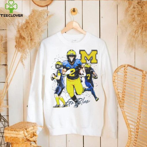 Michigan Wolverines football go blue 2024 hoodie, sweater, longsleeve, shirt v-neck, t-shirt