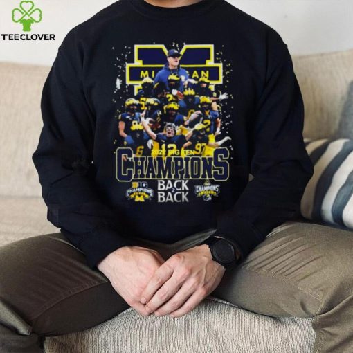 Michigan Wolverines team football Back 2 Back 2022 Big Ten Champions hoodie, sweater, longsleeve, shirt v-neck, t-shirt