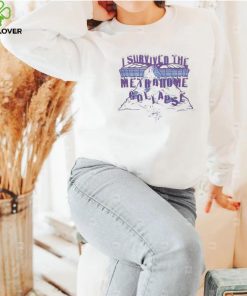 Minnesota Vikings I Survived The Metrodome shirt