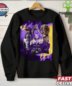 Minnesota Vikings Playoff Berth Clinched 2024 Shirt