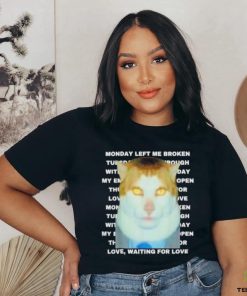 Monday left me broken cat shirt
