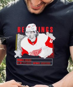 Moritz Seider number 53 Detroit Red Wings ice hockey player pose paper gift hoodie, sweater, longsleeve, shirt v-neck, t-shirt