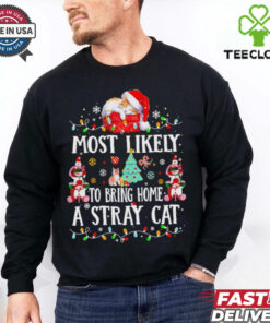Most likely to bring home a stray cat Christmas light shirt