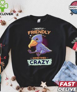 Mostly friendly sometimes crazy shirt