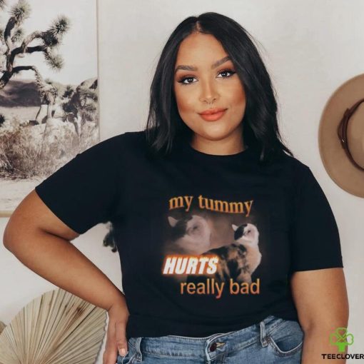My Tummy Hurts Really Bad Cat Shirt