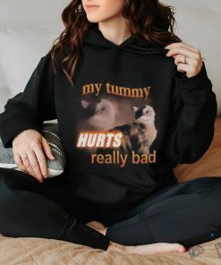 My Tummy Hurts Really Bad Cat Shirt 3 My Tummy Hurts Really Bad Cat Shirt