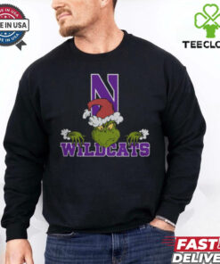 NCAA Northwestern Wildcats Logo Football Grinch Christmas T Shirt
