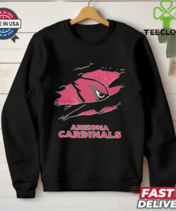 NFL Arizona Cardinals inside me scratches shirt