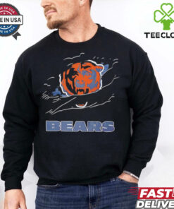 NFL Chicago Bears inside me scratches shirt