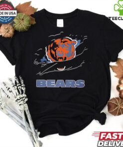 NFL Chicago Bears inside me scratches shirt