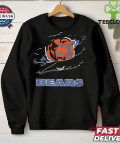 NFL Chicago Bears inside me scratches shirt