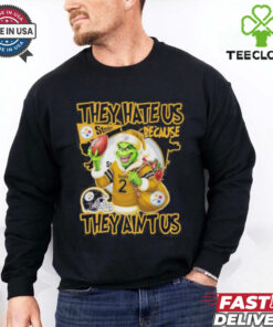 NFL They Hate Us Because They Ain’t Grinch X Pittsburgh Steelers Christmas Shirt