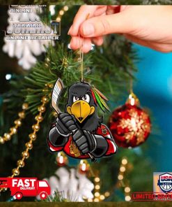 NHL Chicago Blackhawks Mascot Christmas Tree Decorations 2023 Holiday Ornament