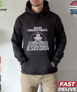 Never underestimate the power of stupid people in large groups shirt